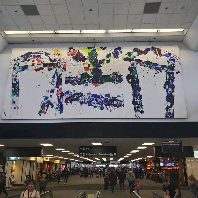 Artistic Airport - San Francisco Airport