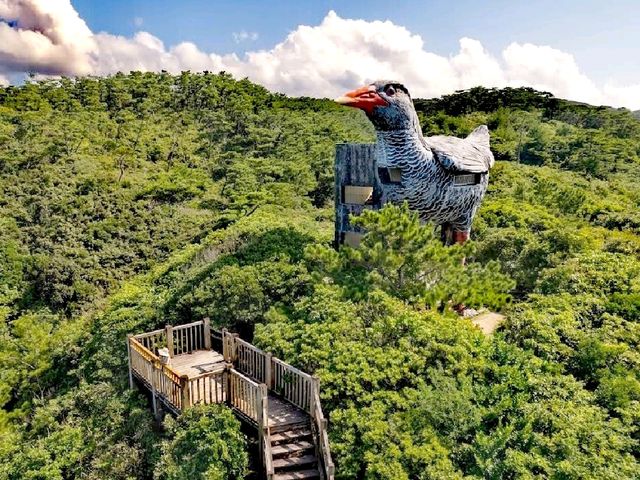 山原秧雞觀景台
