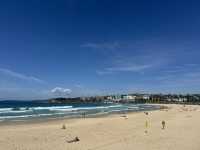 Sydney beaches 