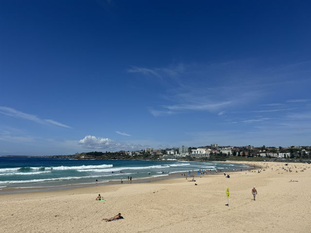 Sydney beaches 