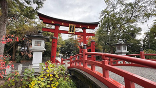 Tsunaga, a historic city in Japan, is caressed by the sea breeze.