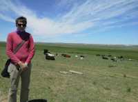 Mongolian Yurts in Xilamuren Grassland 🇨🇳