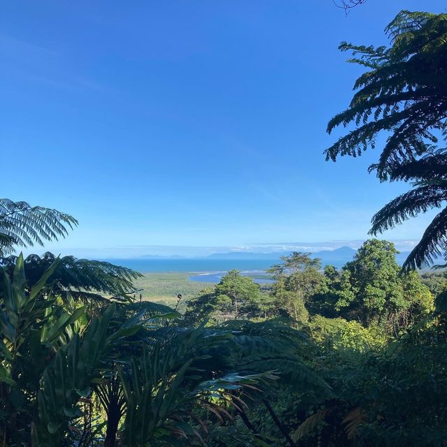 Decent Roadtrip: Daintree National Park 🇦🇺