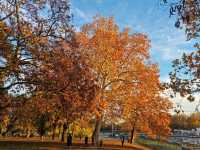 City Park Városliget Budapest in autumn 🗺️ 