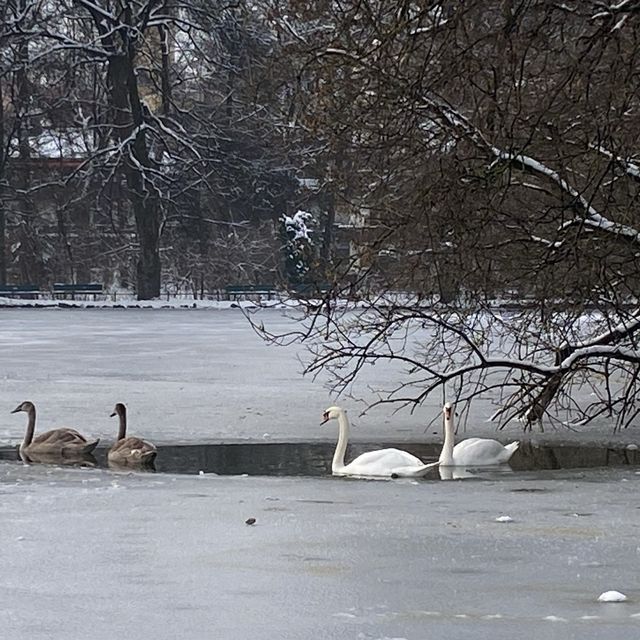 ミュンヘン Englischer Garten