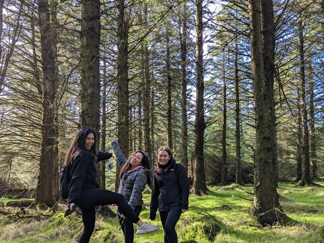 Dublin’s Mountain