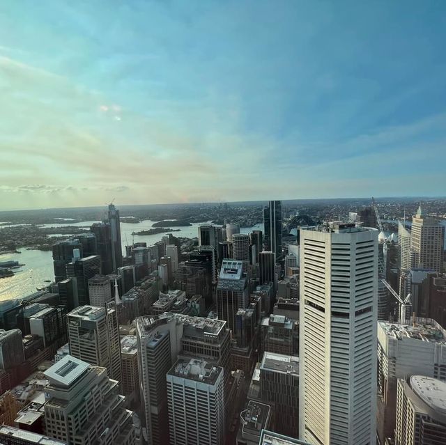 Must Visit: Sydney Tower Eye 🇦🇺