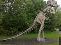 Interesting Teessaurus Park Middlesbrough 🇬🇧