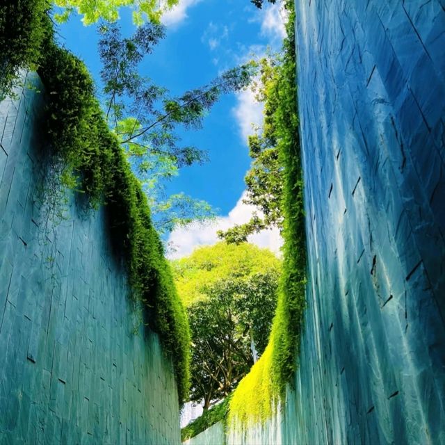 🌳《福康寧酒店Hotel Fort Canning》又是公園又是酒店，鬧市中的綠洲🌳
