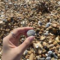 Brighton: Where Beach Vibes Meet City Life