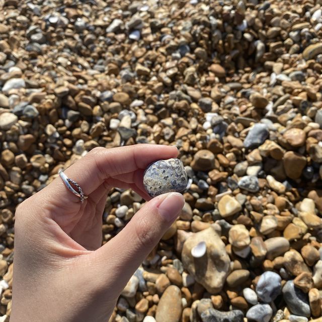 Brighton: Where Beach Vibes Meet City Life
