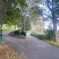Have a look of this Beautiful autumn Park