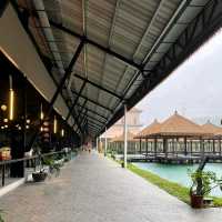 Monkey Canopy Resort