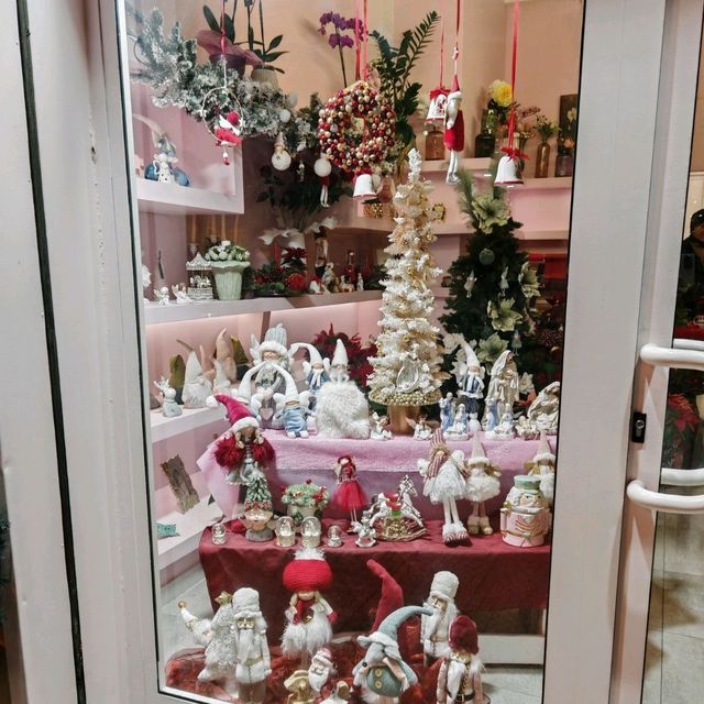 Christmas Window Displays on Liguria Street in Taranto!  