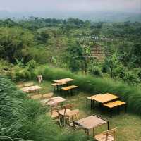 BLYSS CAFE