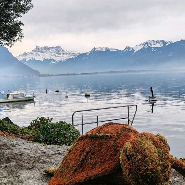 explore animal sculptures along Genève lake in Montreux