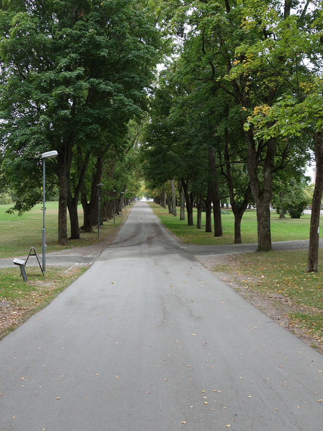 Uppsala: A City of History and Culture