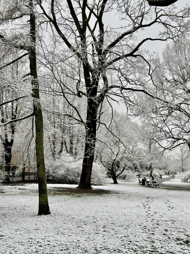 Frozen Fairytales & Cozy Cafés in the snowy Riga ☕️ 