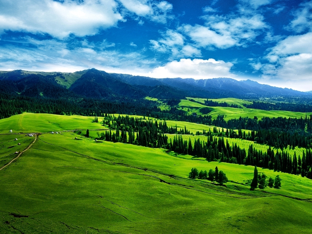 1mi30424x90y52f4w99A9.jpg?proc