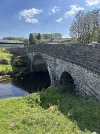 Bowland in the spring 