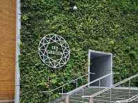 Above the Clouds: A Day at London's Sky Garden