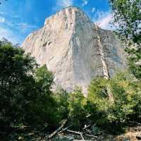 🚗 Getting Around Yosemite National Park – Transportation Tips!