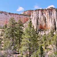 🚐 Zion National Park Transportation Tips: How to Get Around Like a Pro 🚌🌄