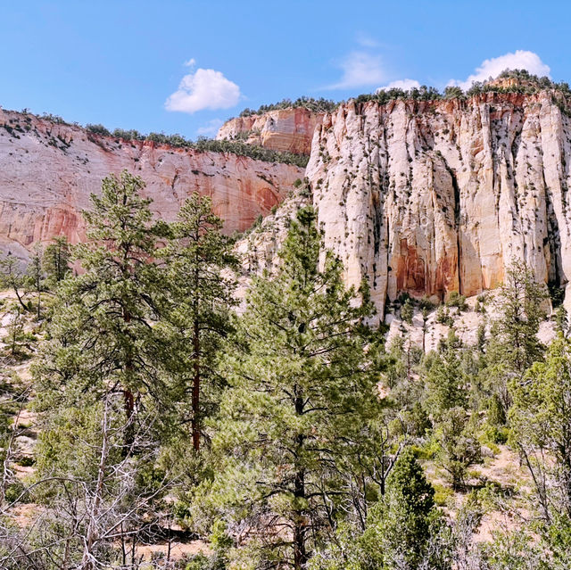🚐 Zion National Park Transportation Tips: How to Get Around Like a Pro 🚌🌄