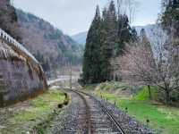 Kamioka: A Hidden Mountain Escape with a Rail Bike Twist 