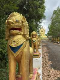 Temple lost in a jungle 