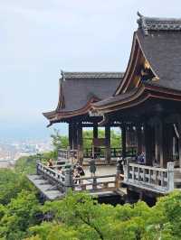🇯🇵 My Ultimate 3-Week Japan Itinerary: Culture, Nature & City Buzz in One Epic Trip 🌸