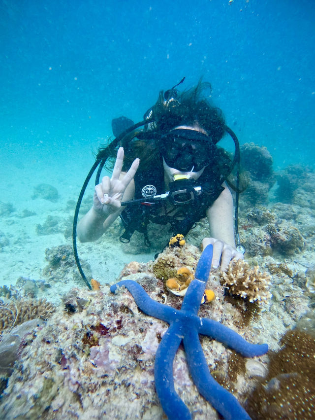 #malaysia#semporna#manulwaterbungalows#scubadiving#turtles#stingray