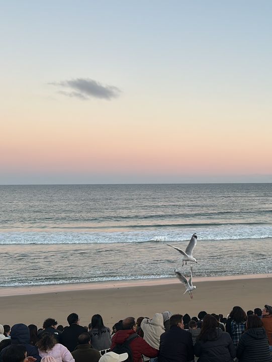 二訪Philip Island 🏝️ 