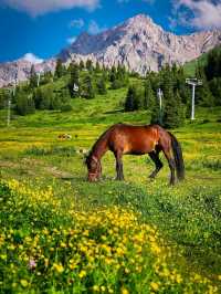 Shymbulak – Almaty’s Alpine Playground Above the Clouds