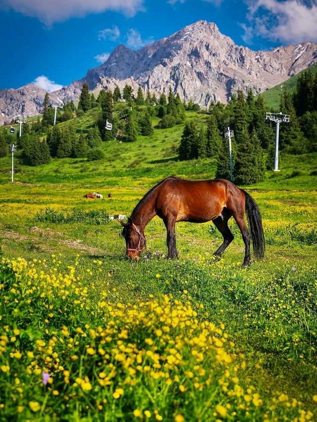 Shymbulak – Almaty’s Alpine Playground Above the Clouds