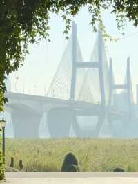 Wuhan Wonders: A Day of Culture, River Views, and Street Food