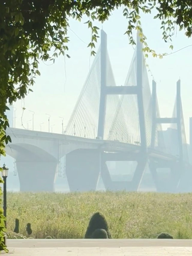 Wuhan Wonders: A Day of Culture, River Views, and Street Food
