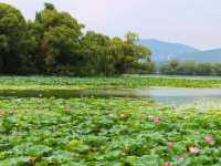 🌿 Tranquility by the Lake – Summer Palace Escape