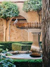 Alhambra: A Dream of Moorish Splendor ✨  