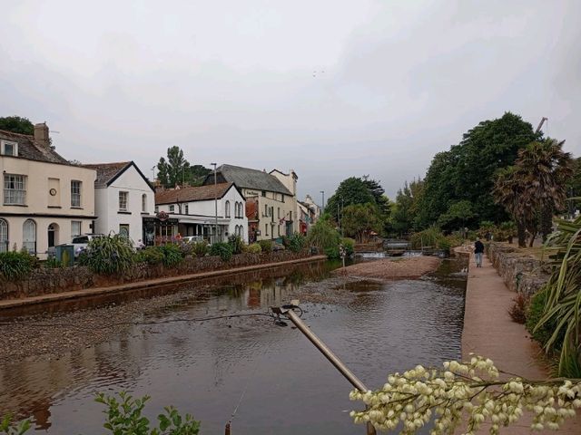 Highlights of my recent visit to Dawlish 