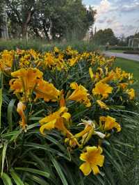 VDNH walk with international theatre fest- “Inspiration”