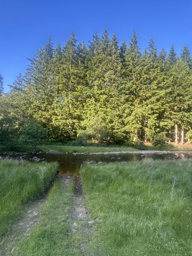 Down by the river