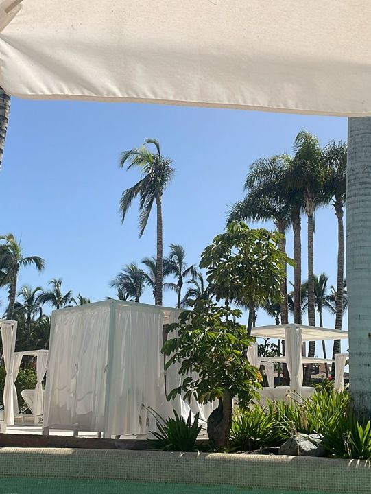 🌴 Maspalomas Princess Hotel Review