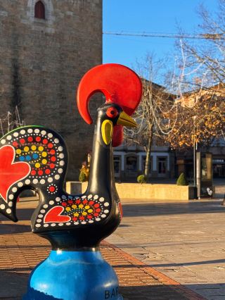 Barcelos and the Flea Market