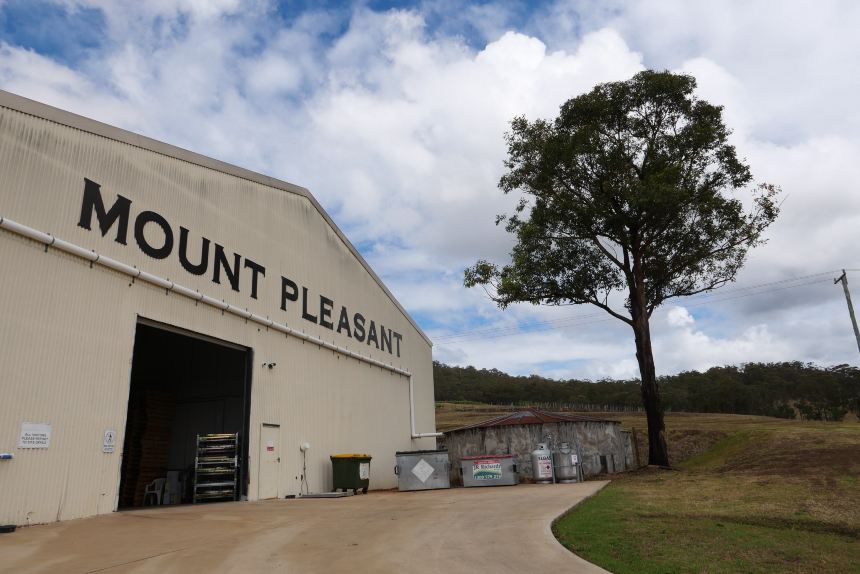 Explore Hunter Valley: A Wine Tasting Adventure Recommended by Trip.com