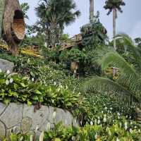 Sirao Garden in Cebu 