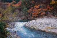 Off-the-beaten-path destinations for viewing autumn leaves in Japan.