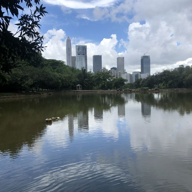 Stunning oasis in a concrete jungle 🌿🏙️🌸