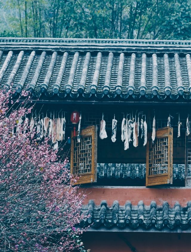 Tea Horse Road, Nake Li