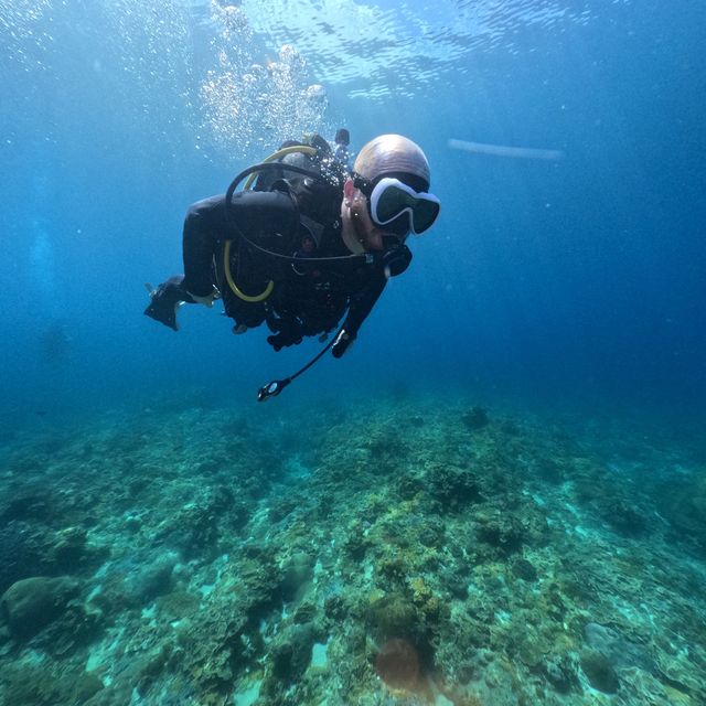Down in the deep blue sea, my first Scuba
